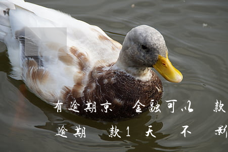 有逾期京東金融可以貸款嗎-京東金融貸款逾期還款1天會不會影響信用