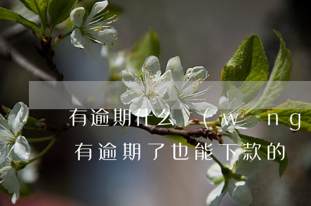 有逾期什么網(wǎng)貸可以下款(有沒有逾期了也能下款的網(wǎng)貸平臺)