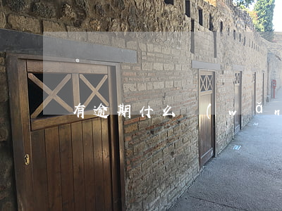 有逾期什么網(wǎng)貸能借