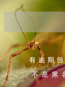 有逾期但不是黑名單孩子能政審嗎 有逾期但不是黑名單孩子能政審嗎有影響嗎