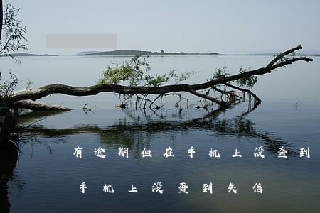 有逾期但在手机上没查到失信-有逾期但在手机上没查到失信