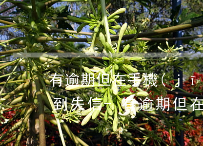 有逾期但在手機(jī)上沒(méi)查到失信-有逾期但在手機(jī)上沒(méi)查到失信