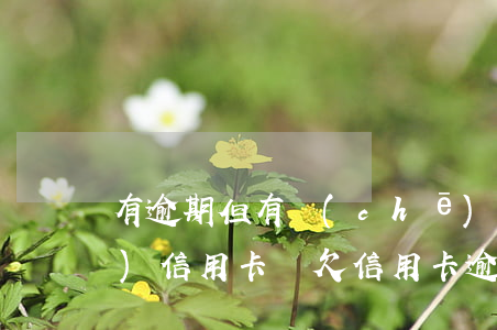 有逾期但有車(chē)能申請(qǐng)信用卡嗎(欠信用卡逾期名下能有車(chē)嗎)