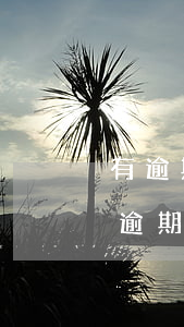 有逾期但還清了還可以辦信用卡嗎（馬上金融逾期還完還能辦信用卡嗎）