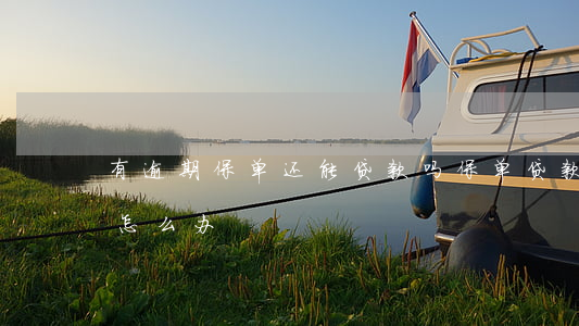 有逾期保单还能贷款吗(保单贷款过期没还上怎么办)