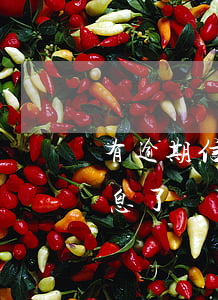 有逾期信息了還可以辦信用卡嗎-有逾期信息了還可以辦信用卡嗎知乎