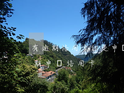 有逾期信用卡但是申請新卡成功了(有一次逾期申請信用卡)