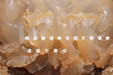 有逾期信用卡线下申请(有逾期信用卡线下申请能下款吗)