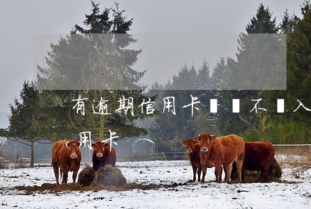 有逾期信用卡記錄不讓入職(入職被要求辦信用卡)