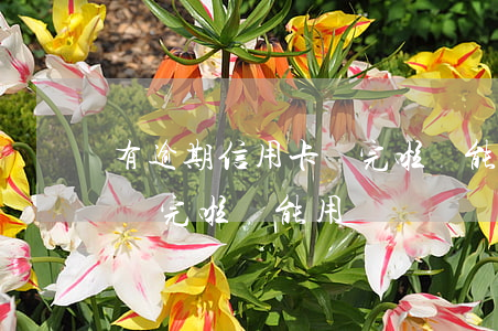有逾期信用卡還完啦還能用嗎(有逾期信用卡還完啦還能用嗎)