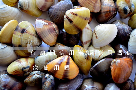 有逾期信用卡還能用嗎（信用卡逾期后還能再次使用嗎）