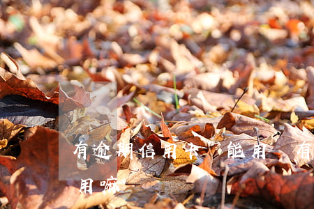 有逾期信用卡還能用嗎（有過逾期信用卡還能用嘛）
