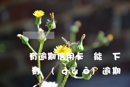 有逾期信用卡還能辦下來(lái)嗎(之前有過(guò)逾期還能辦信用卡嗎)