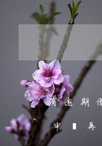 有逾期借唄怎樣還款(借唄逾期還進去了怎么申請再可以借啊)