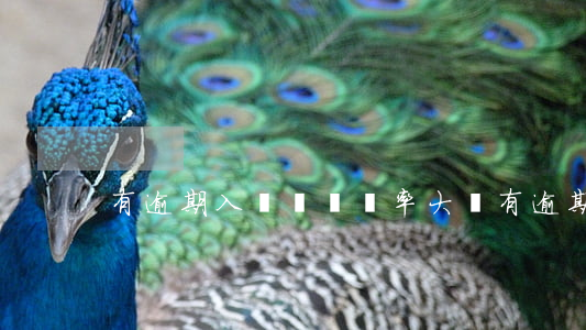 有逾期入職順豐幾率大嗎(有逾期影響入職嗎)