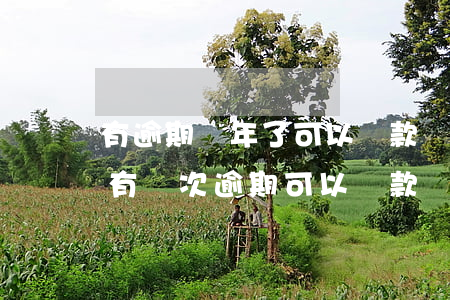有逾期兩年了可以貸款嗎(兩年內(nèi)有兩次逾期可以貸款嗎)