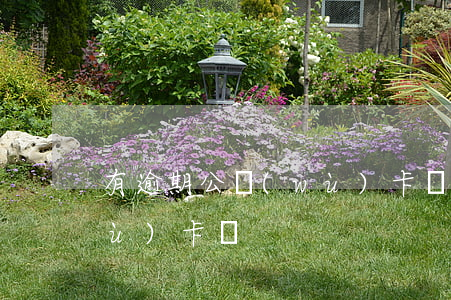 有逾期公務(wù)卡嗎-有逾期公務(wù)卡嗎
