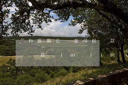 有逾期公積金可以貸款嗎(有逾期還能公積金貸款買(mǎi)房嗎)