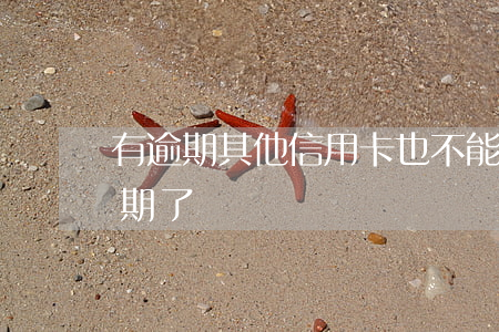 有逾期其他信用卡也不能用(沒注意信用卡逾期了)