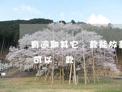 有逾期其它貸款能放款嗎(其他軟件有逾期還可以貸款嗎)
