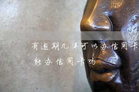 有逾期几年可以办信用卡(信用卡逾期一年还能办信用卡吗)