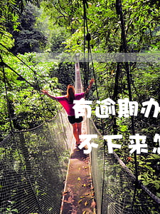 有逾期办不了信用卡吗(有过逾期办信用卡办不下来怎么办)