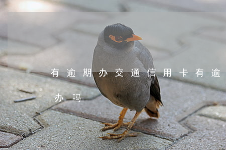 有逾期办交通信用卡(有逾期办交通信用卡好办吗)