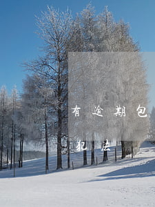 有逾期包裝能辦信用卡嗎(給人包裝辦信用卡犯法嗎)