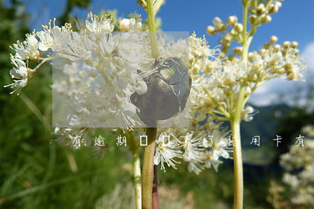 有逾期卻辦不了信用卡(有逾期信用卡好辦嗎)