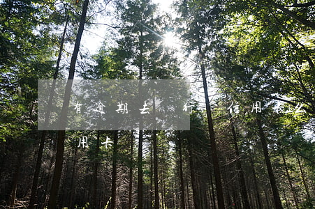有逾期去銀行辦信用卡么 逾期是否可以辦信用卡
