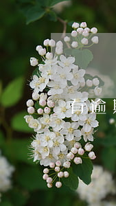 有逾期可不可以過橋-逾期不能過橋嗎