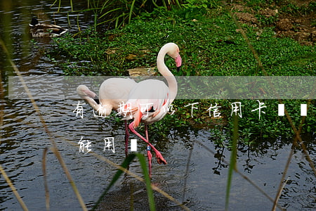 有逾期可以下信用卡嗎 貸款逾期了信用卡還能用嗎