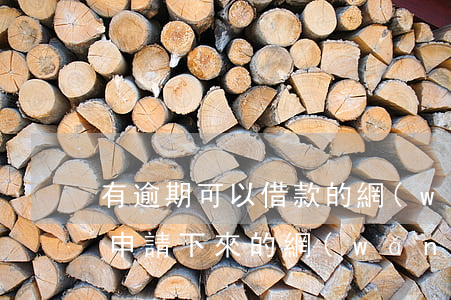 有逾期可以借款的網(wǎng)貸(逾期能申請下來的網(wǎng)貸)