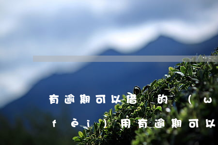 有逾期可以借錢的網(wǎng)貸無費(fèi)用(有逾期可以借錢嗎)