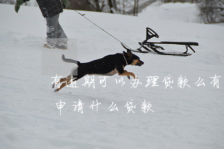 有逾期可以办理贷款么(有过逾期但已还可以申请什么贷款)