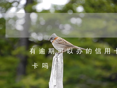 有逾期可以办的信用卡(当前有逾期能办信用卡吗)