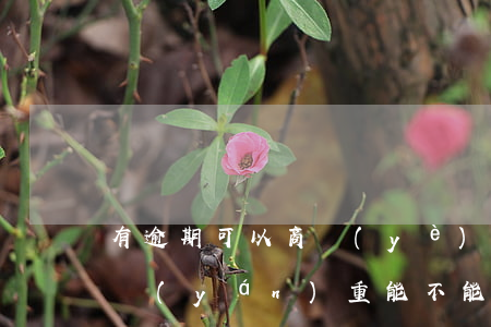 有逾期可以商業(yè)貸款嗎(信用卡逾期嚴(yán)重能不能辦理商業(yè)貸款)