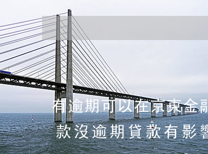 有逾期可以在京東金融借款嗎(京東金融有欠款,沒逾期,貸款有影響嗎?)