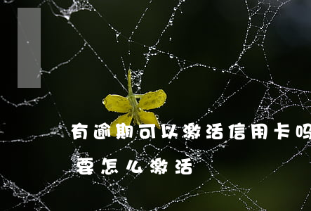 有逾期可以激活信用卡吗（信用卡逾期被停卡要怎么激活）