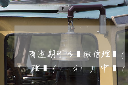 有逾期可以買微信理財(cái)嗎-微信理財(cái)中風(fēng)險(xiǎn)可以買嗎