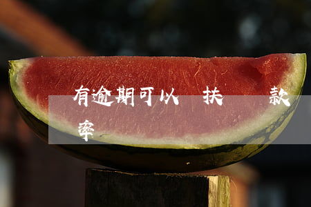 有逾期可以貸扶貧貸款嗎(扶貧小額信貸逾期率)