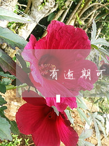 有逾期可以貸款的小貸(有逾期可以貸款的小貸)