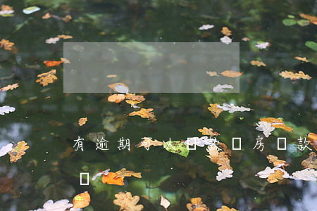 有逾期可以貸款買房(貸款買房有逾期能貸款嗎?)