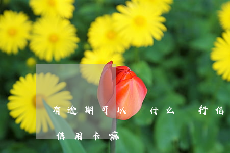 有逾期可以辦什么銀行信用卡（逾期能辦什么信用卡嘛）