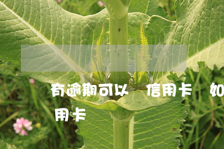 有逾期可以辦信用卡嗎(如果有逾期可以辦信用卡嗎)