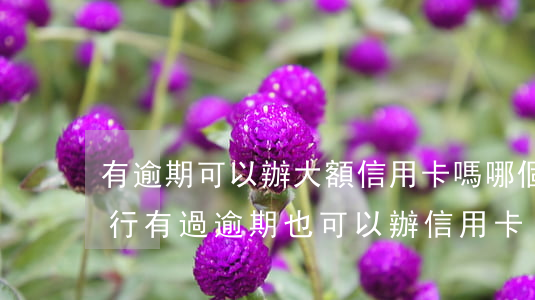 有逾期可以辦大額信用卡嗎(哪個(gè)銀行有過逾期也可以辦信用卡)
