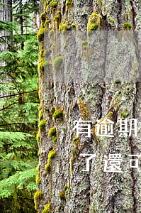 有逾期可以辦理你我貸嗎(你我貸逾期了還清了還可以正常使用嗎?)