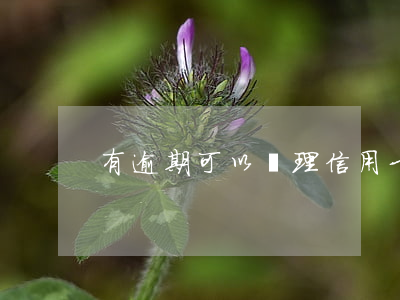 有逾期可以辦理信用卡嗎