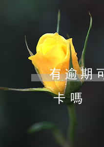 有逾期可以辦的信用卡嗎(有過逾期能辦信用卡嗎)
