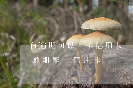有逾期可以辦的信用卡(當(dāng)前有逾期能辦信用卡嗎)
